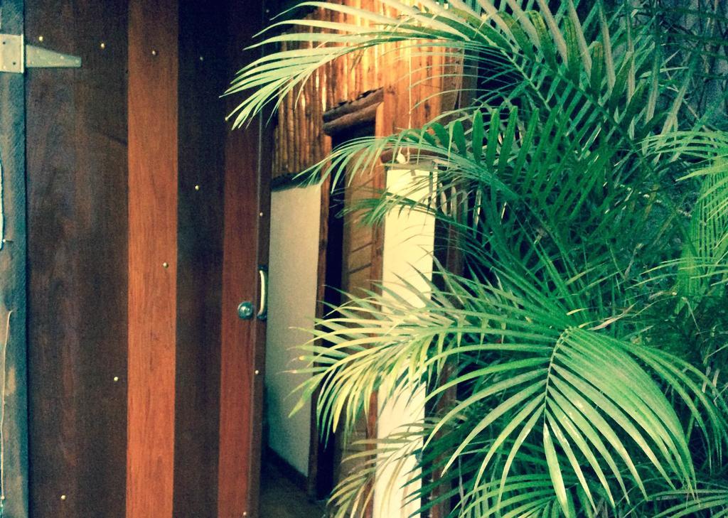 Canto Do Buganville Abraão Kültér fotó